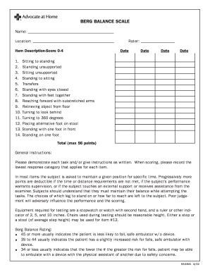 modified berg balance test pdf.